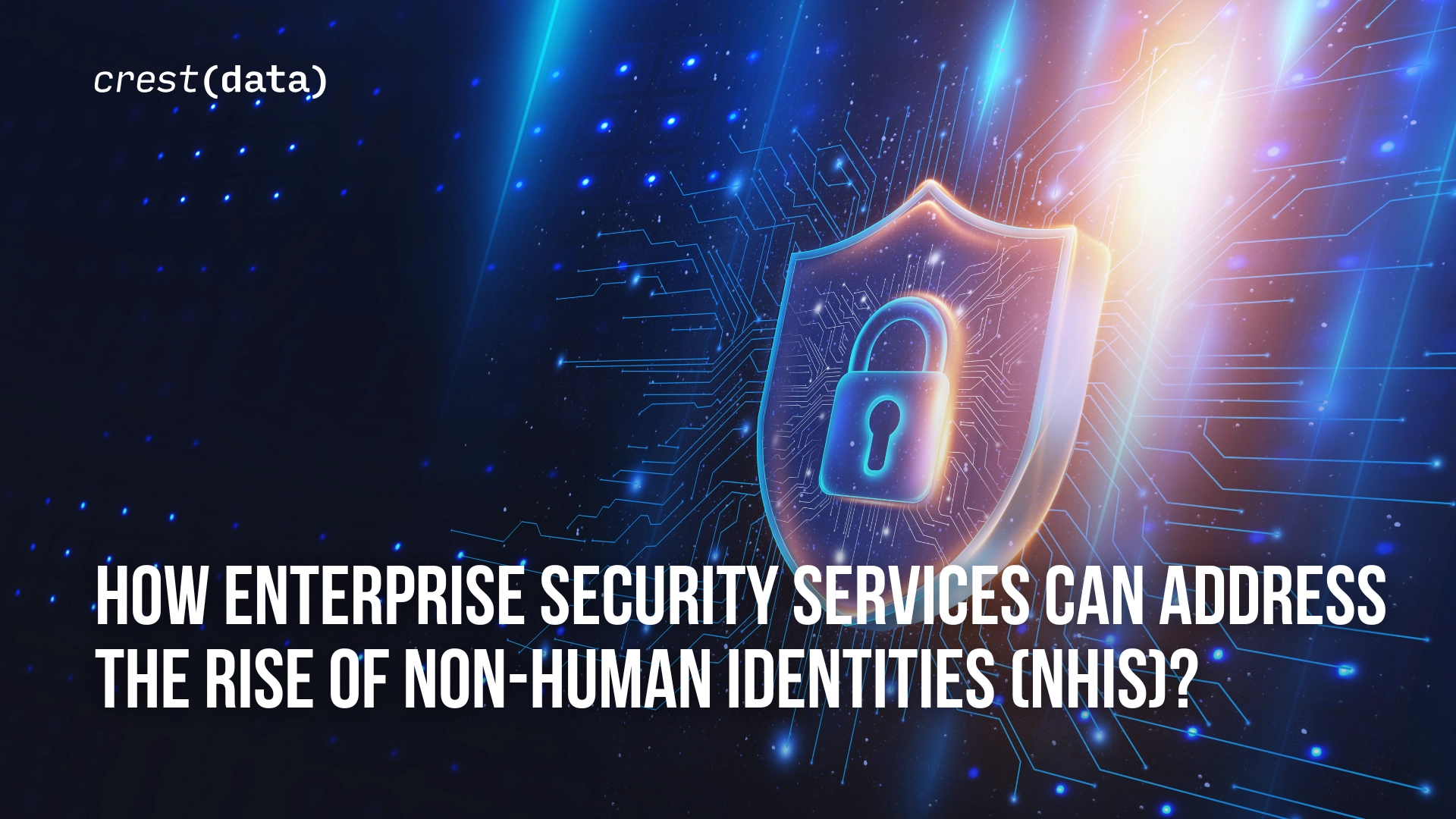 Enterprise Security Services for Non-Human Identity (NHI) Protection